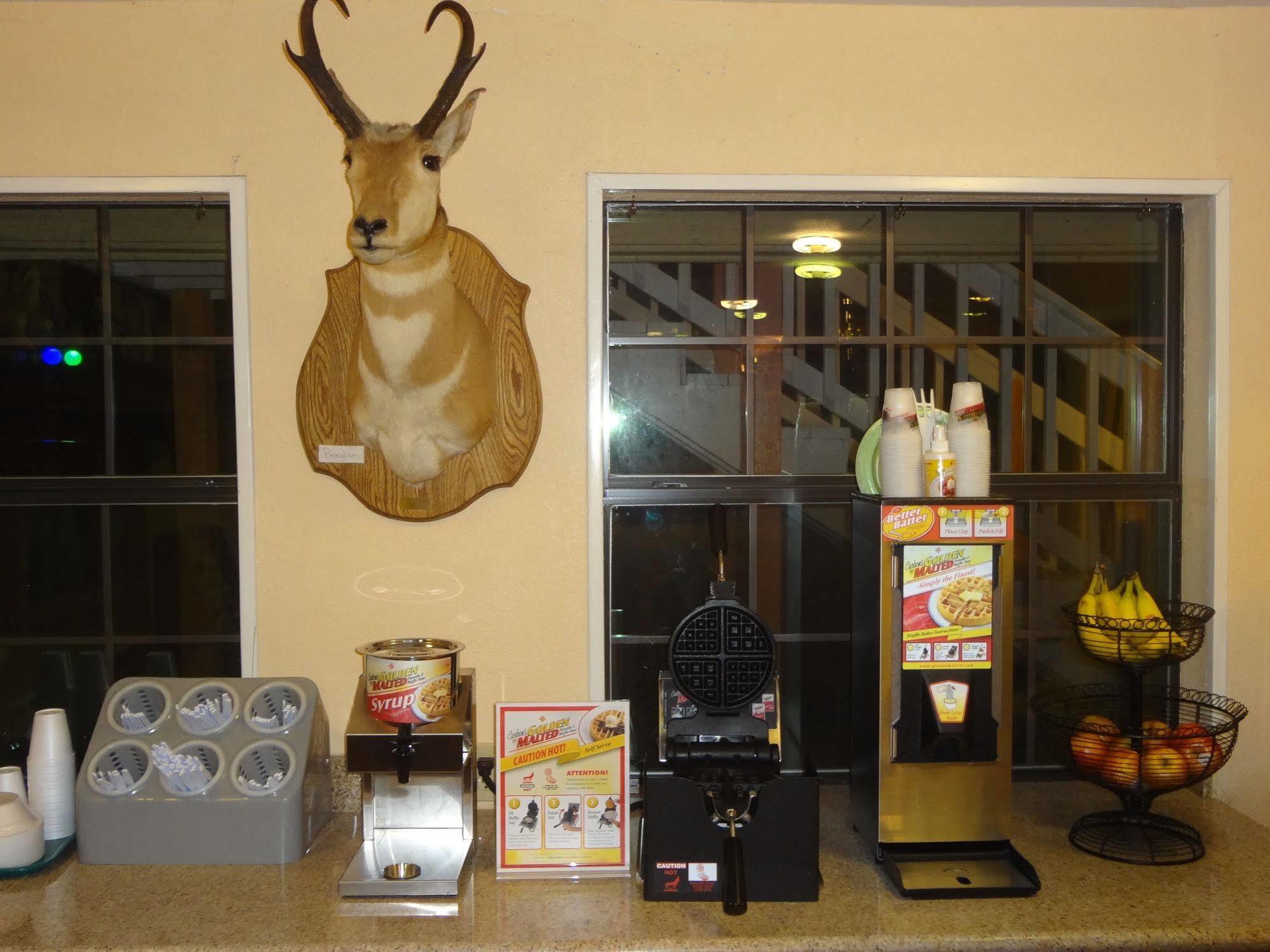 Antlers Inn Goliad المظهر الخارجي الصورة